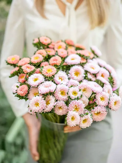 top Flowers That Mean Forgiveness