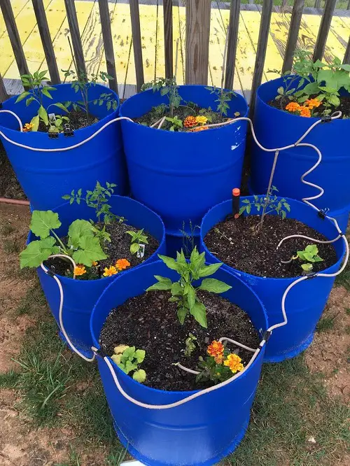 Half Cut Plastic Drum Garden