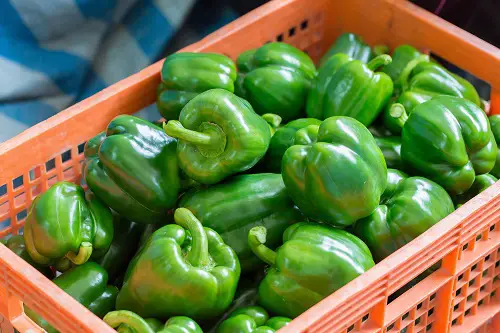top Fruits that are Vegetables
