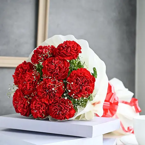 beautiful Flowers That Mean Forgiveness