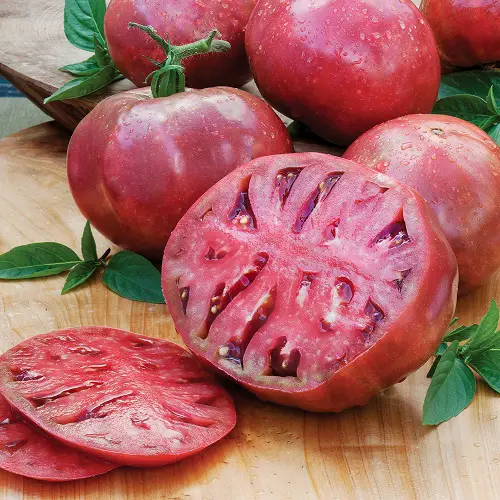 Wolrd Best Tomatoes for Sandwiches