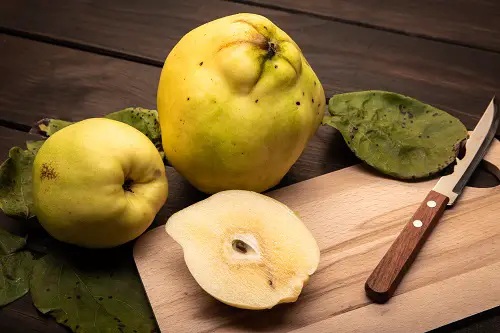 best Fruits With a Q 