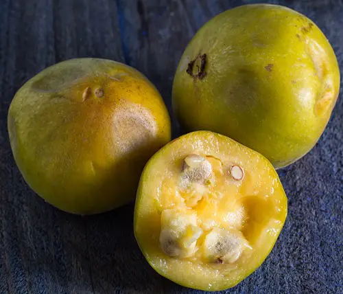  Fruits That Begin With A

