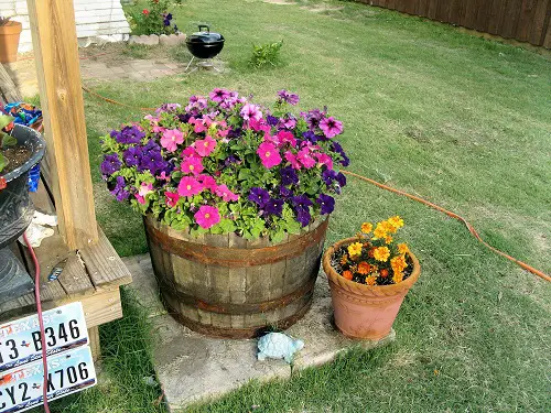 Whiskey Barrel Planters Ideas