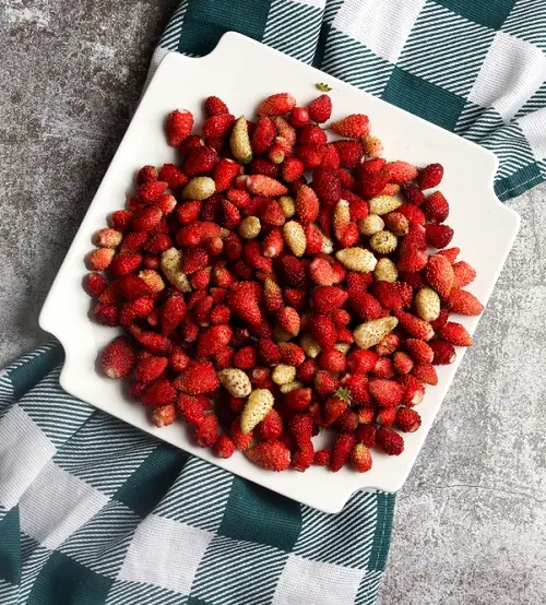 Delectable Fruits That start With A
