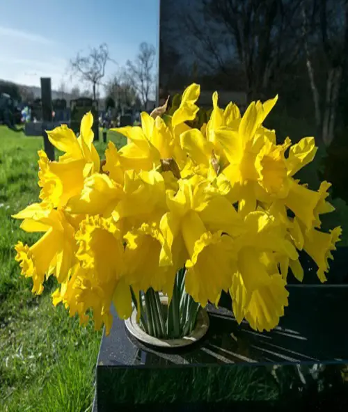 Death-Representing Flowers
