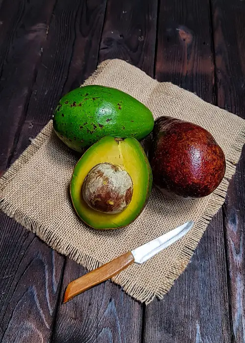 best Fruit-Related Vegetables