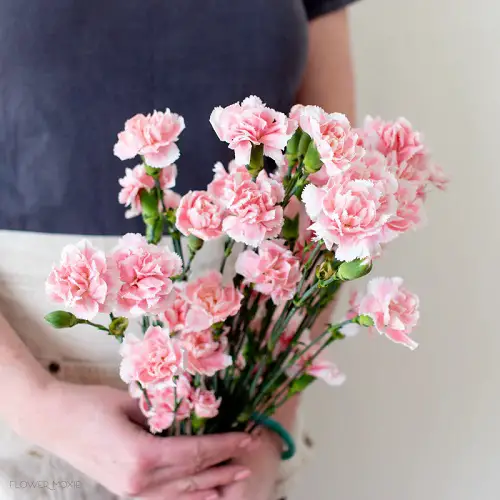 best Flowers that Represent Death