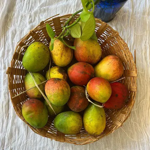 Fruits That Start With R in busket