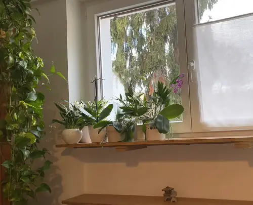 Wooden Extension for Windowsill
