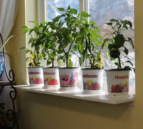 diy Sunny Windowsill Extension