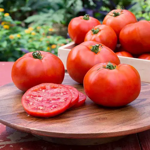 Best Tomatoes for Sandwiches