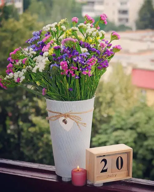 beauty Thank You blooms