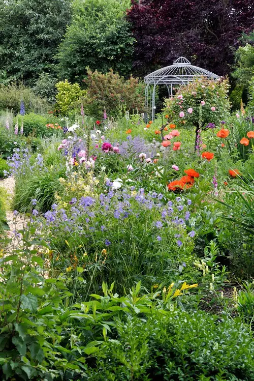 Tips to Keep Deer Away From Geraniums