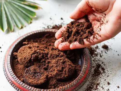 Coffee Ground as Natural Pesticides for Garden