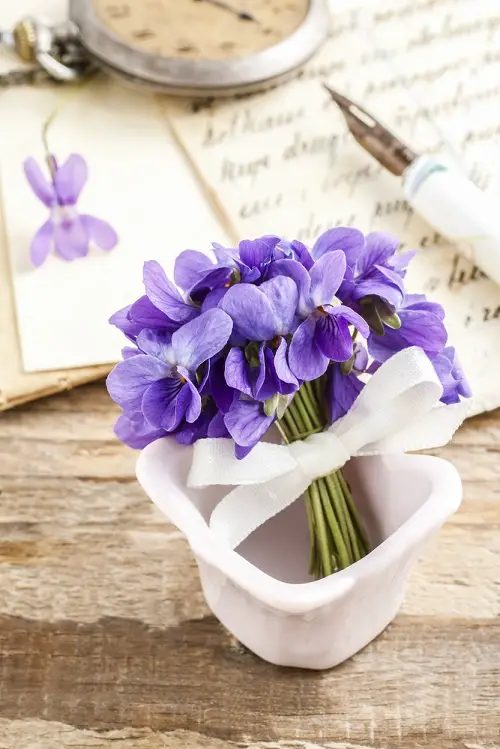 best Flowers That Signify Pardon