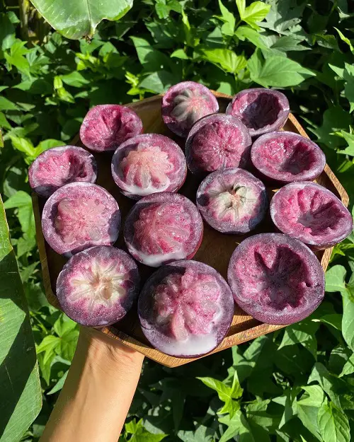 Fruits That Start With C 3