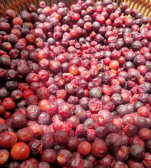 lovely Fruits With The Beginning Of The Letter F