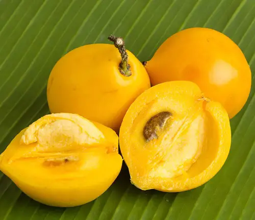 tasty Fruits That Start With R 9