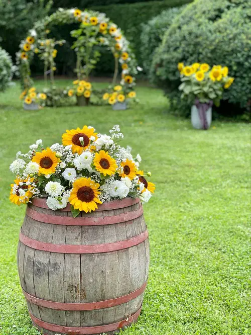 Whiskey Barrel Planters