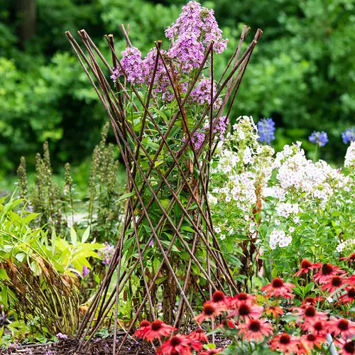 Criss-Cross Twigs for Support