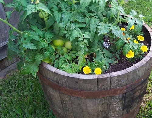 Whiskey Barrel Planters Vertical Planter