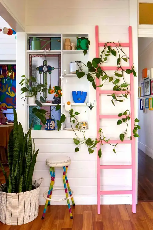 Ideas to Display Plants in Painted Stool and Pink Vine Ladder