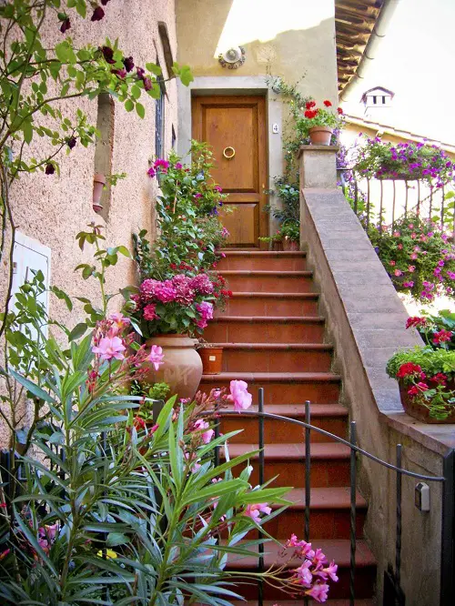 Narrow Stair Entrance with Potted Beauties