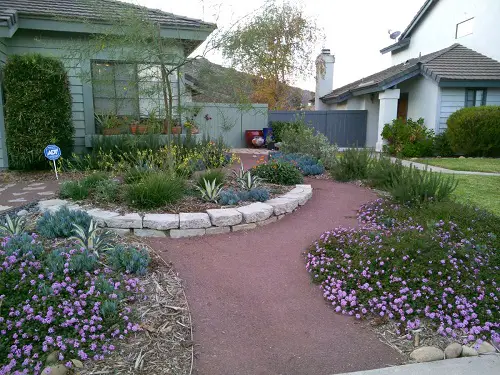 top Lovely Lantana Ground Cover Inspirations