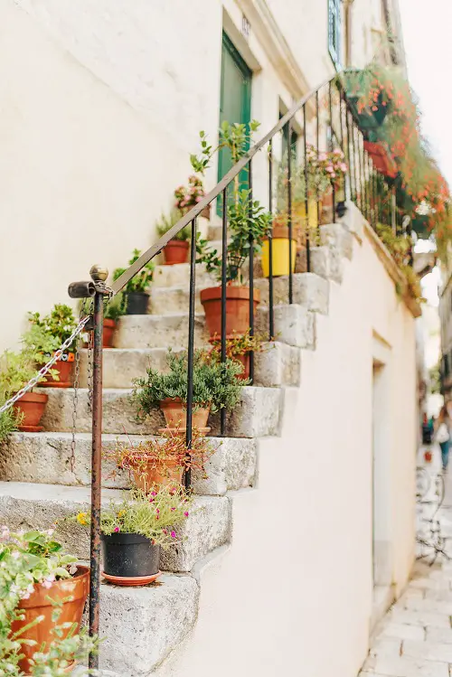 A City Crib's Steps with Colorful Pots 