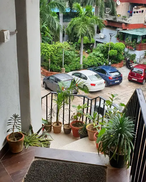 Metal Staircase Railing with Potted Greenery
