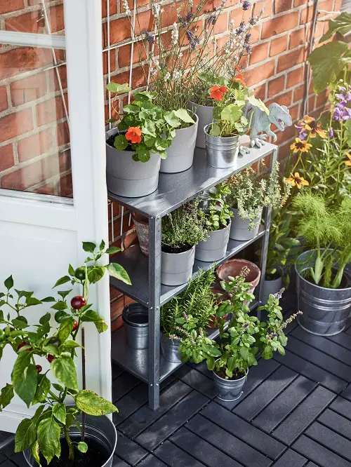 Ideas to Display Plants in Metal Kitchen Table for Cement and Tin Pots