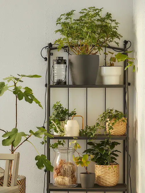 Black Metal Rack with Vintage Planters