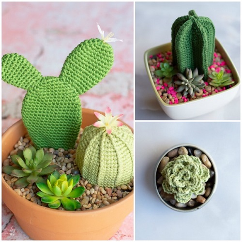 Crochet Flower Bouquet Adorable Crochet Succulents