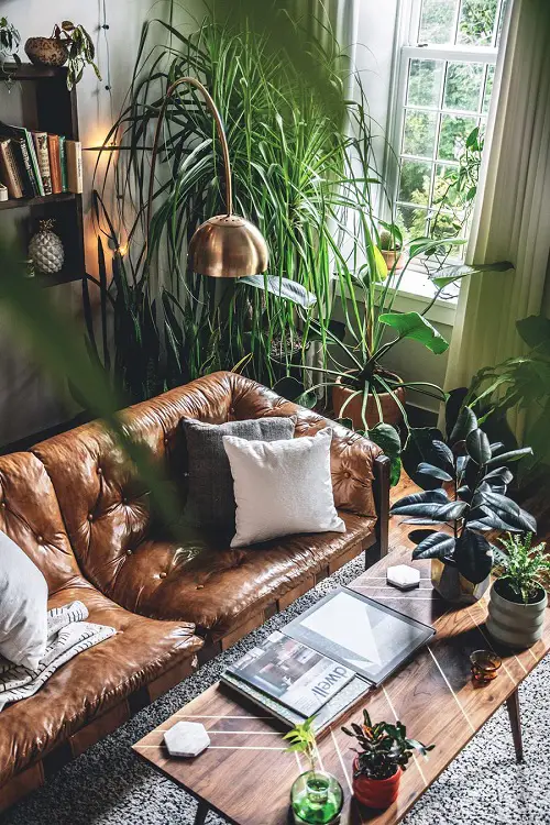 unique Wall Behind Sofa Decor Ideas with Plants 7