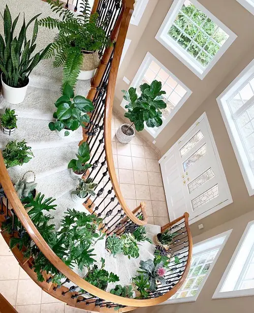 Spiral Staircase with Potted Green Plants