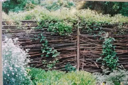 Rustic Twig Fence Ideas 