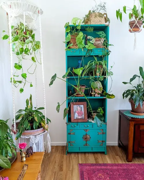 Ideas to Display Plants in Plant Shelf with Macrame Hangers