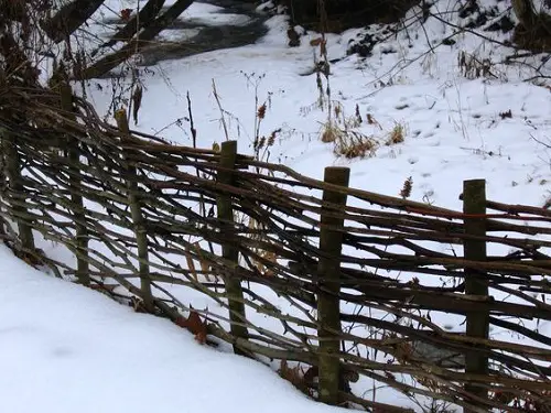 Woven Branch Fence ideas