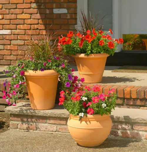 Stubby Staircase with Earthern Planters