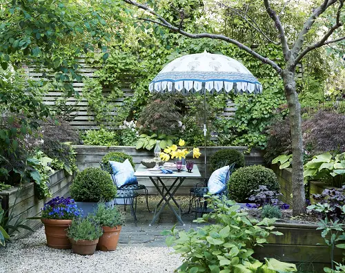 Fence Covered in Foliage