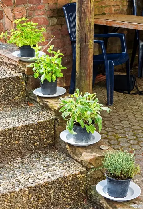  How About Potted Herbs! on Staircase 5