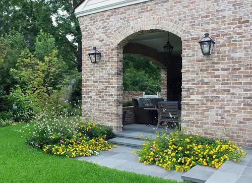 Lantana as Ground Cover Ideas