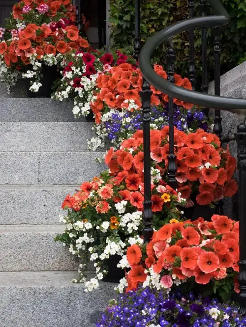 Staircase with Breathtaking Floral Display