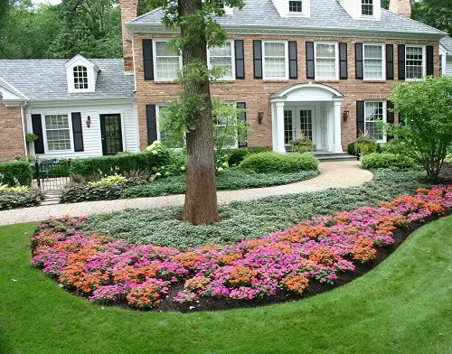 Beautiful Lantana as Ground Cover Ideas