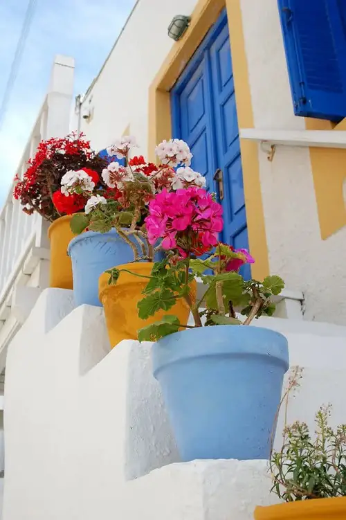 Staircase Colorful Blooms on White Steps