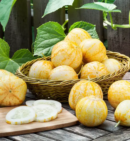 Ornamental Vegetables to grow in garden 8