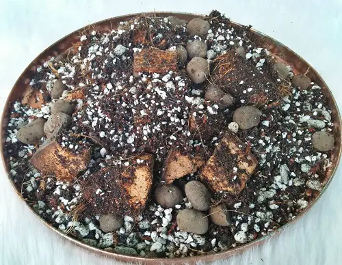  Aroid Soil Mix with Charcoal 