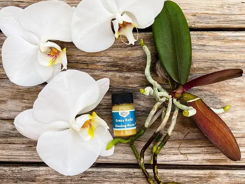 DIY Keiki Paste Recipe