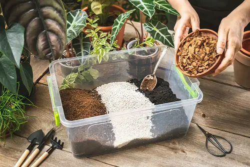 Easy Aroid Soil Mix